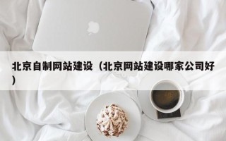 泰安北京自制网站建设（北京网站建设哪家公司好）