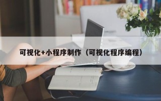 泰安可视化+小程序制作（可视化程序编程）